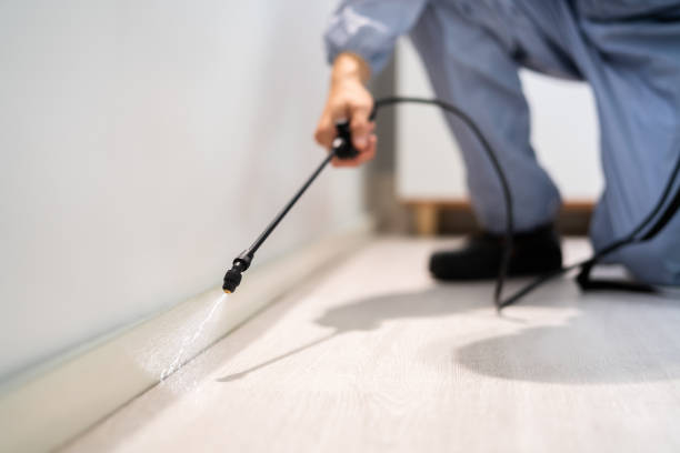 Licensed Pest Control service in Farmersville, OH - Show Me Pest Control